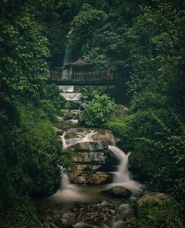 Hotel Woileem Gangtok Exteriör bild